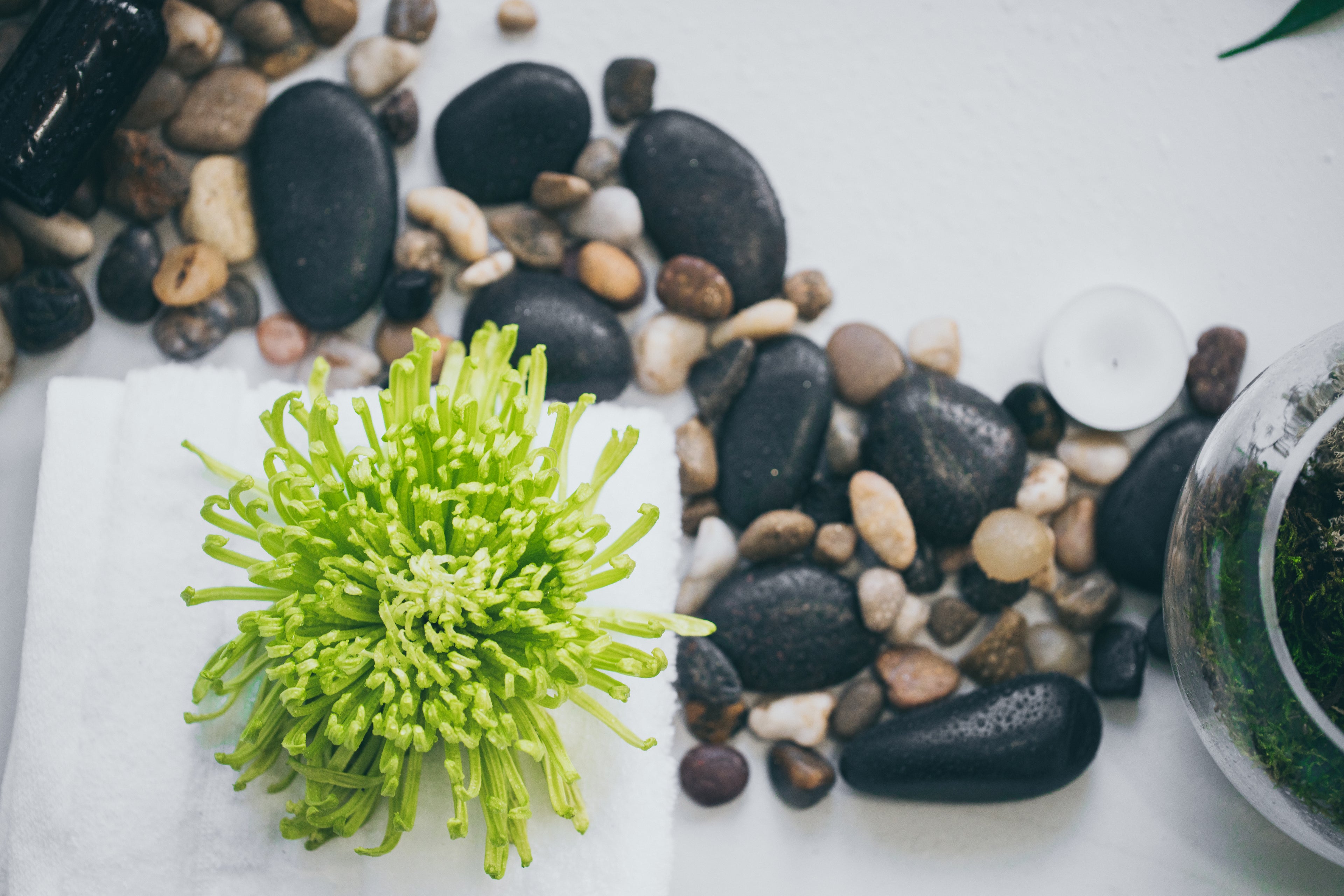 slider image slider_item_8Lqh9d